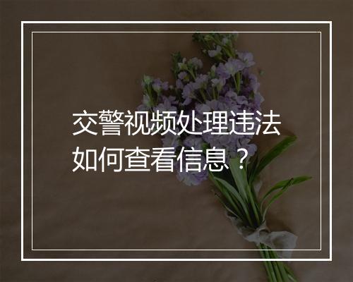 交警视频处理违法如何查看信息？