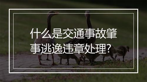 什么是交通事故肇事逃逸违章处理?