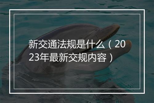 新交通法规是什么（2023年最新交规内容）