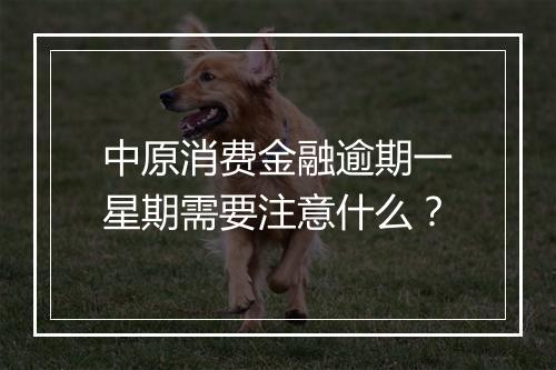 中原消费金融逾期一星期需要注意什么？