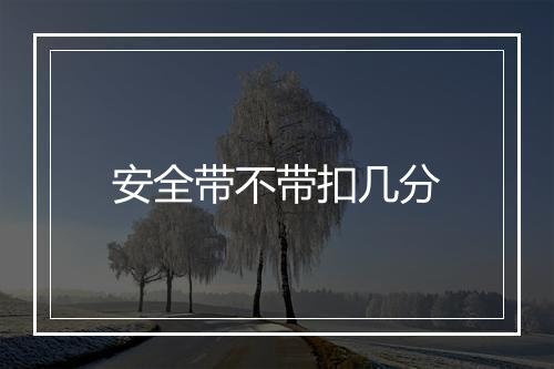 安全带不带扣几分