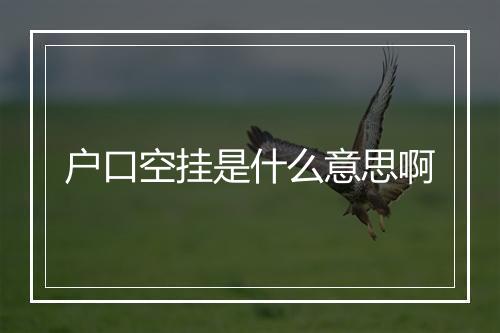 户口空挂是什么意思啊