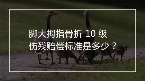 脚大拇指骨折 10 级伤残赔偿标准是多少？