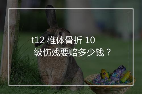 t12 椎体骨折 10 级伤残要赔多少钱？