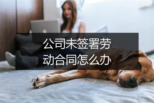 公司未签署劳动合同怎么办
