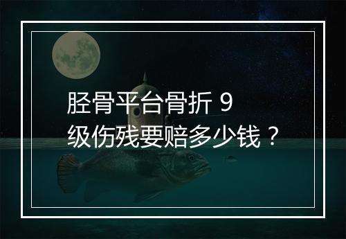 胫骨平台骨折 9 级伤残要赔多少钱？
