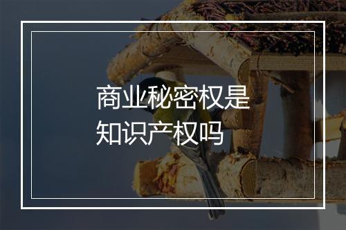 商业秘密权是知识产权吗