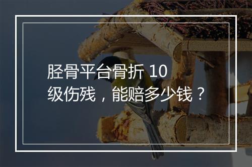 胫骨平台骨折 10 级伤残，能赔多少钱？