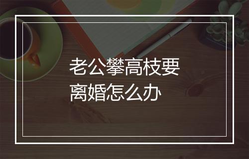 老公攀高枝要离婚怎么办