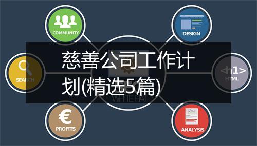慈善公司工作计划(精选5篇)