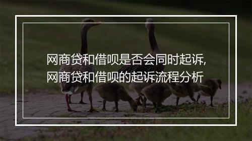 网商贷和借呗是否会同时起诉,网商贷和借呗的起诉流程分析