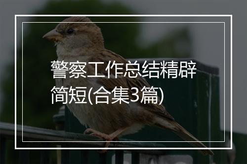 警察工作总结精辟简短(合集3篇)