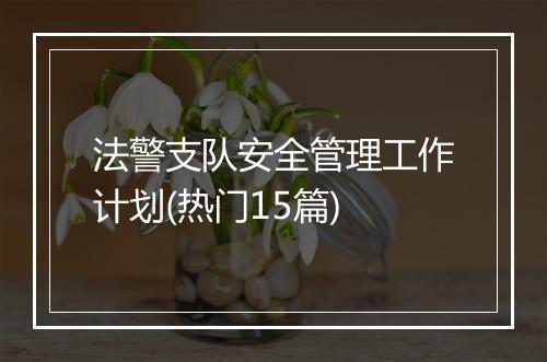 法警支队安全管理工作计划(热门15篇)
