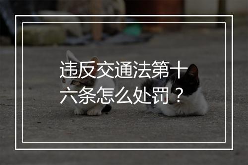 违反交通法第十六条怎么处罚？