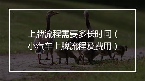 上牌流程需要多长时间（小汽车上牌流程及费用）