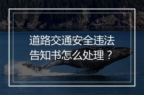 道路交通安全违法告知书怎么处理？