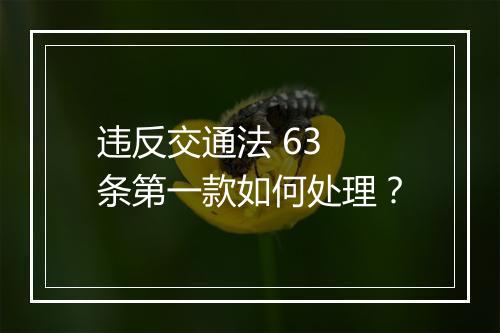 违反交通法 63 条第一款如何处理？