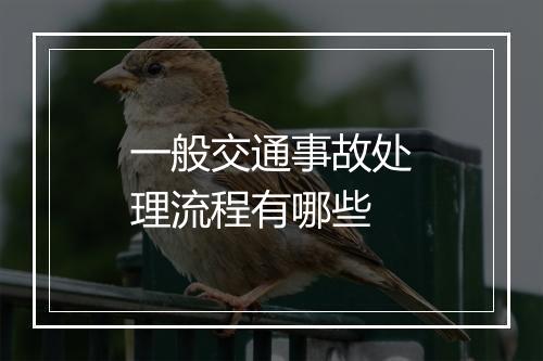 一般交通事故处理流程有哪些