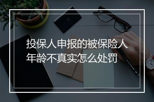 投保人申报的被保险人年龄不真实怎么处罚