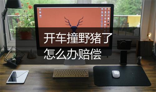 开车撞野猪了怎么办赔偿
