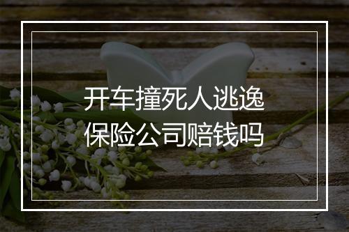 开车撞死人逃逸保险公司赔钱吗
