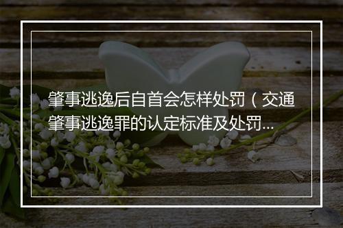 肇事逃逸后自首会怎样处罚（交通肇事逃逸罪的认定标准及处罚）