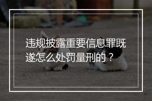 违规披露重要信息罪既遂怎么处罚量刑的？