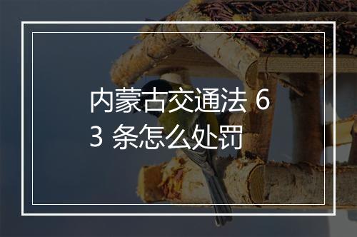 内蒙古交通法 63 条怎么处罚