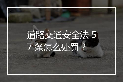 道路交通安全法 57 条怎么处罚？