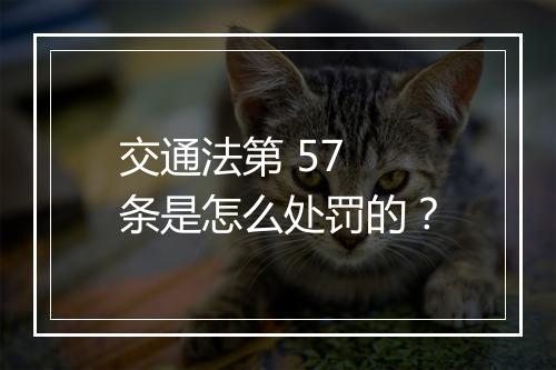 交通法第 57 条是怎么处罚的？