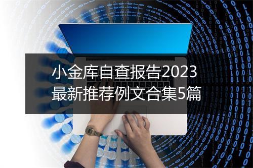 小金库自查报告2023最新推荐例文合集5篇