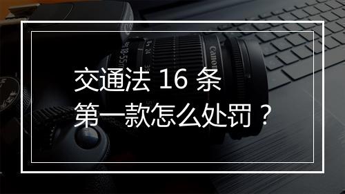交通法 16 条第一款怎么处罚？