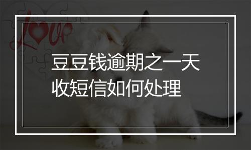豆豆钱逾期之一天收短信如何处理