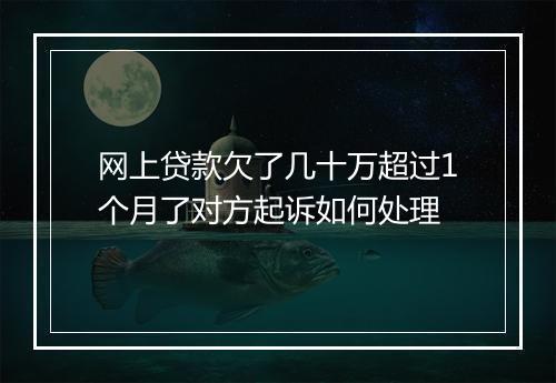网上贷款欠了几十万超过1个月了对方起诉如何处理