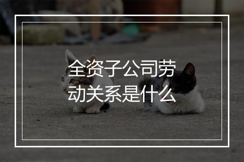 全资子公司劳动关系是什么