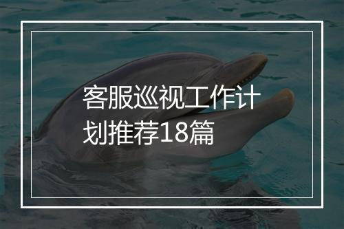 客服巡视工作计划推荐18篇
