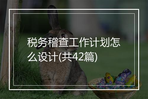 税务稽查工作计划怎么设计(共42篇)