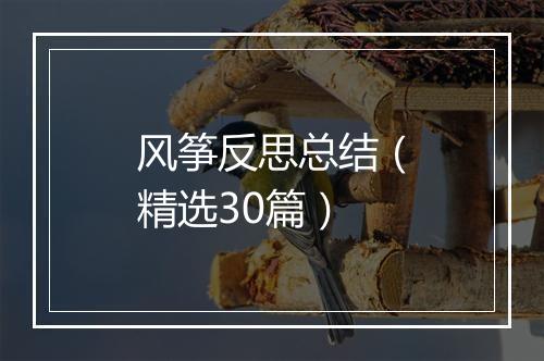 风筝反思总结（精选30篇）