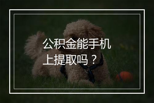 公积金能手机上提取吗？
