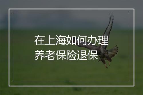 在上海如何办理养老保险退保