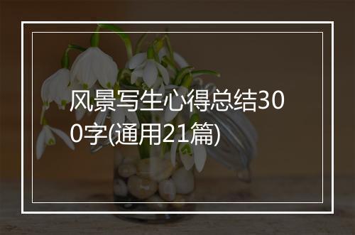 风景写生心得总结300字(通用21篇)