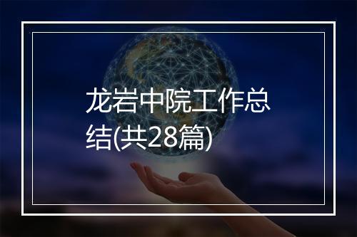 龙岩中院工作总结(共28篇)