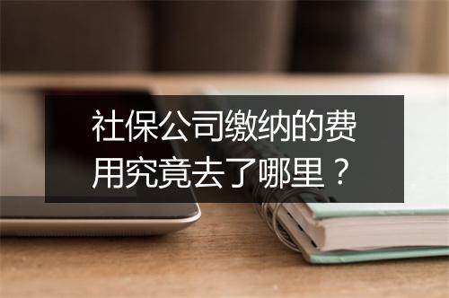 社保公司缴纳的费用究竟去了哪里？