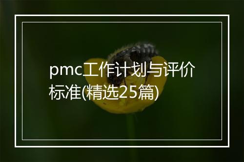 pmc工作计划与评价标准(精选25篇)