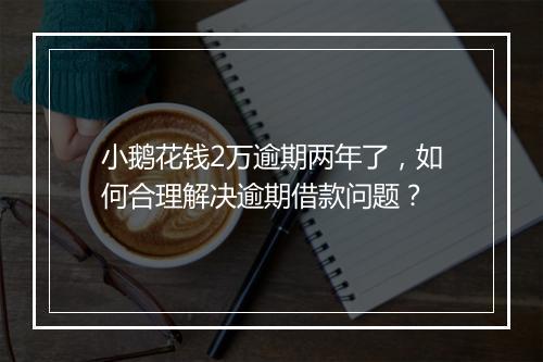 小鹅花钱2万逾期两年了，如何合理解决逾期借款问题？