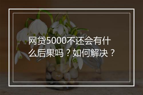网贷5000不还会有什么后果吗？如何解决？