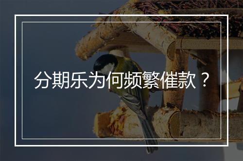 分期乐为何频繁催款？