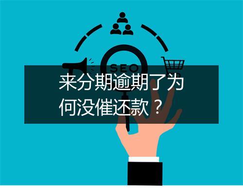 来分期逾期了为何没催还款？