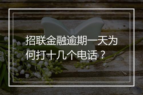招联金融逾期一天为何打十几个电话？