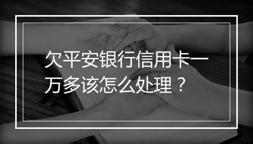 欠平安银行信用卡一万多该怎么处理？